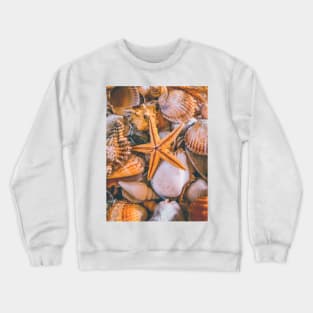 Nature Seashells Starfish Yoga Caribbean Beach Crewneck Sweatshirt